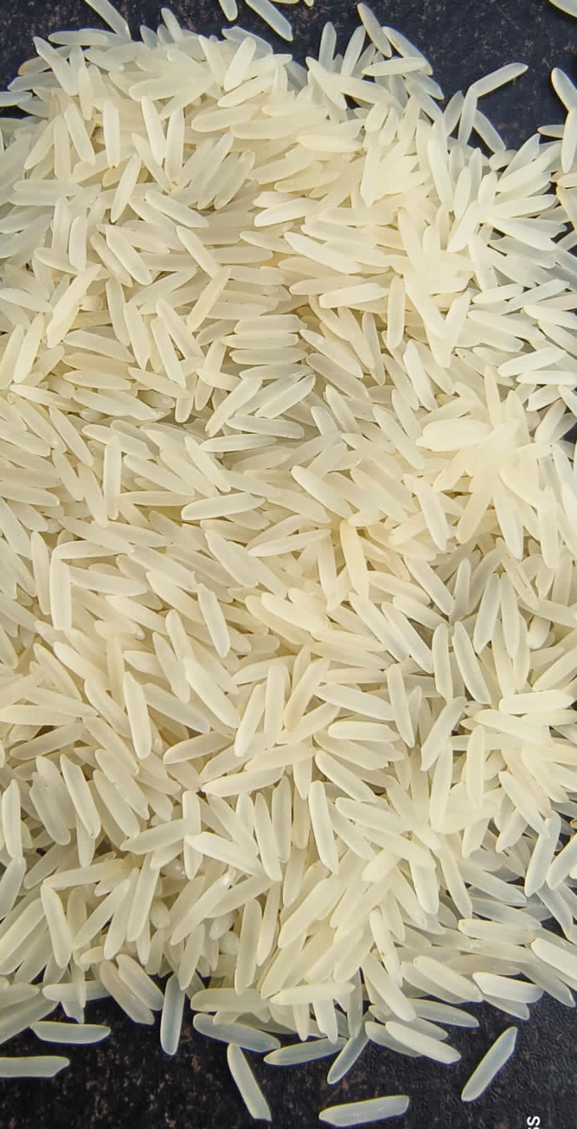 WhatsApp Image 2025-07-10 at 11.02.03 AM.jpeg